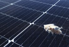 天辰游戏平台如何避免太阳能电池板骗局美国的住宅太阳能产业正在迅速